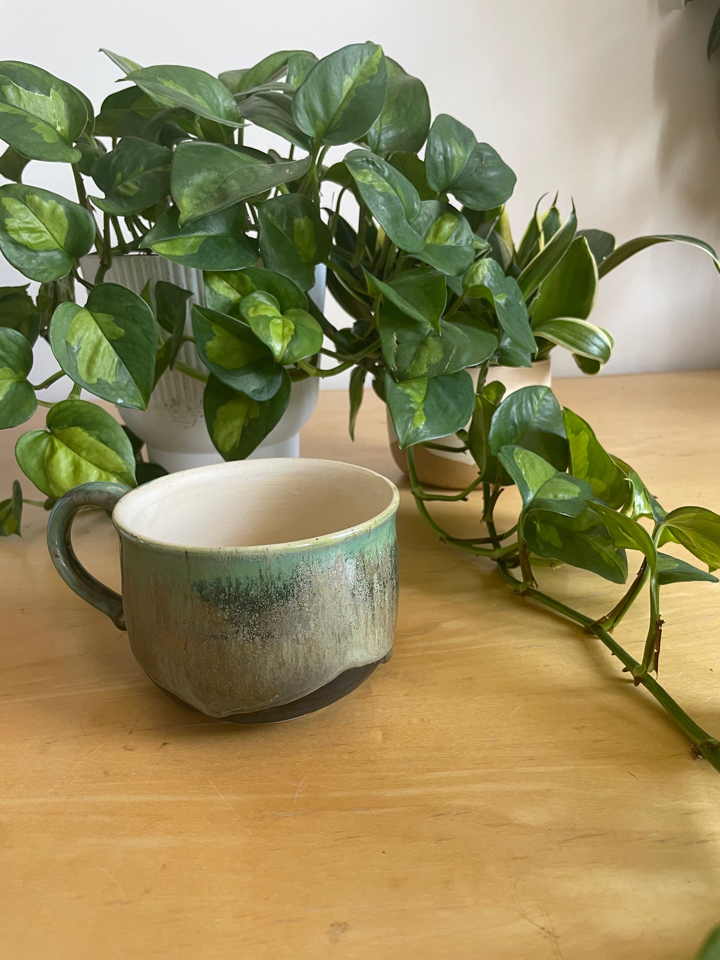 Green and Black Teacup Planter