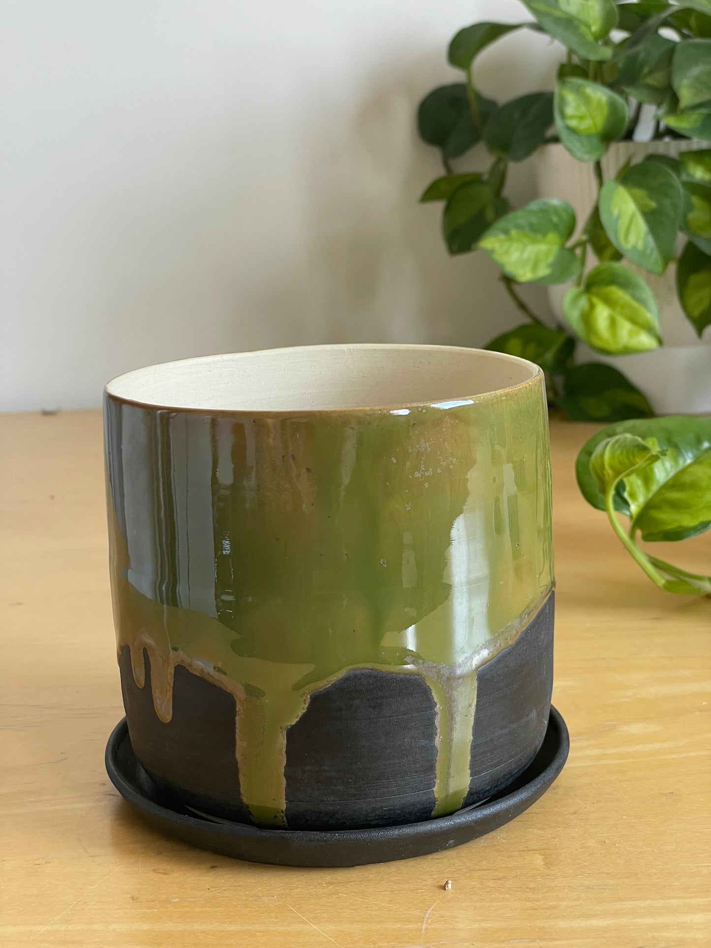 Black and Metallic Green Planter