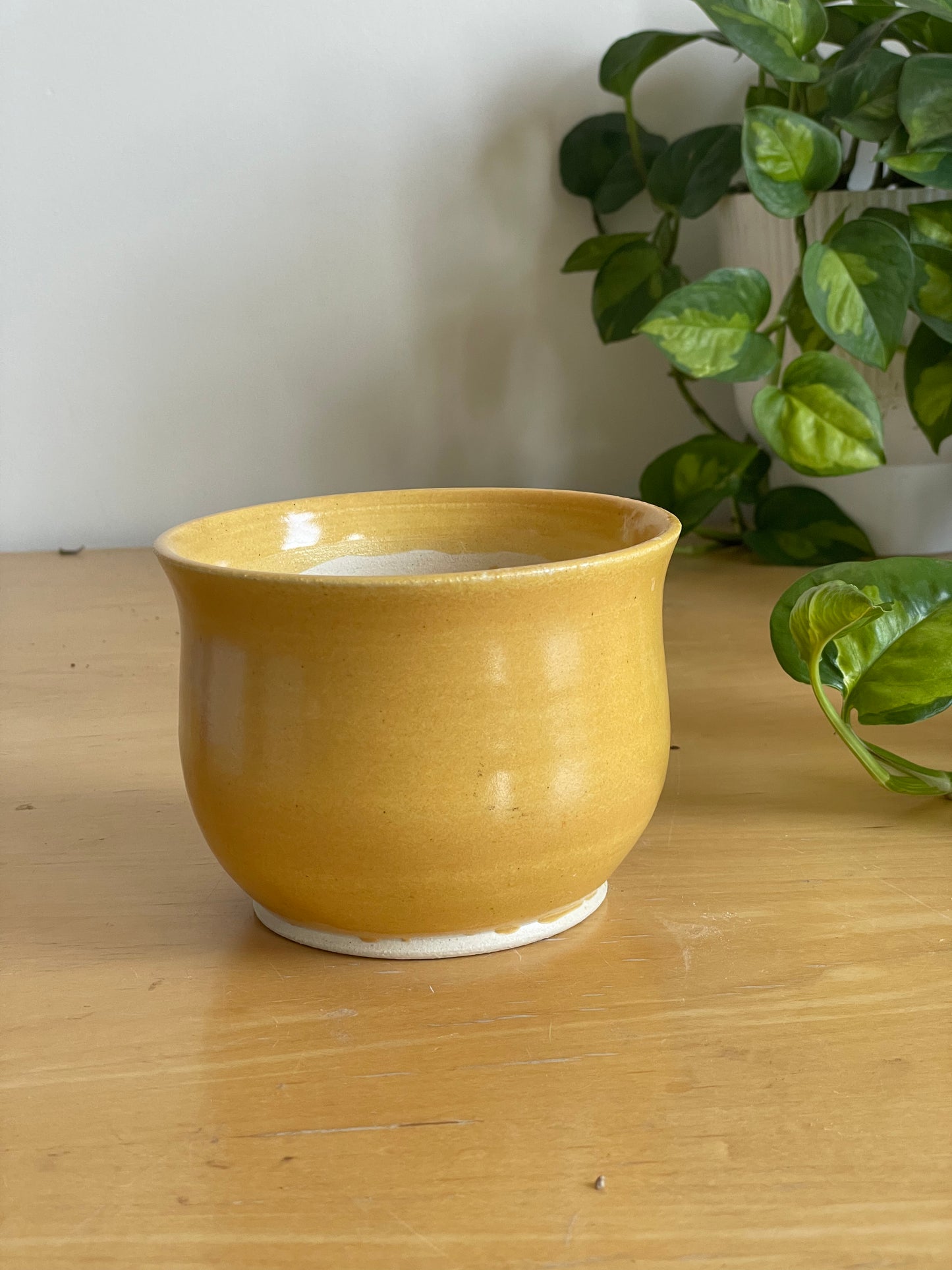 Small Yellow Planter