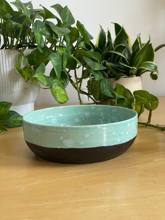 Mint and Black Bowl