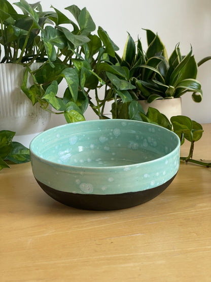 Mint and Black Bowl