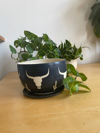 Matte Black Cactus and Cow Skull Planter