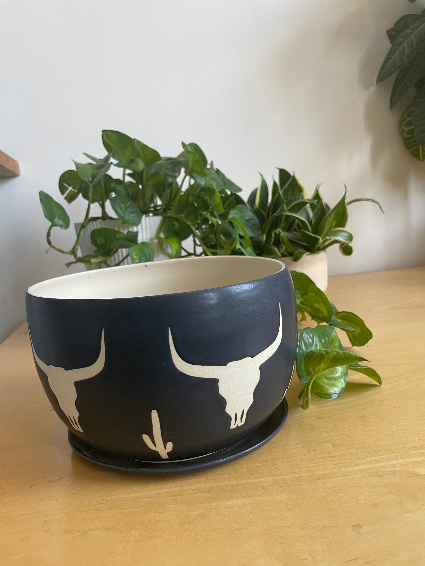 Matte Black Cactus and Cow Skull Planter